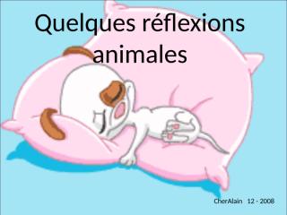 reflexion_d'animaux.pps