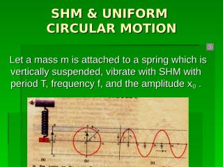 shm & uniform circular motio.ppt