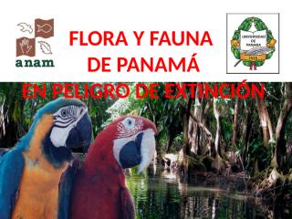 Charla flora y fauna.pptx