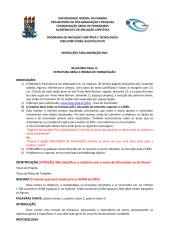 relatorio_final_ic_2012-2013_estrutura_normas.pdf