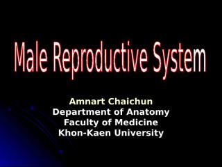 male.repro.sys.ppt